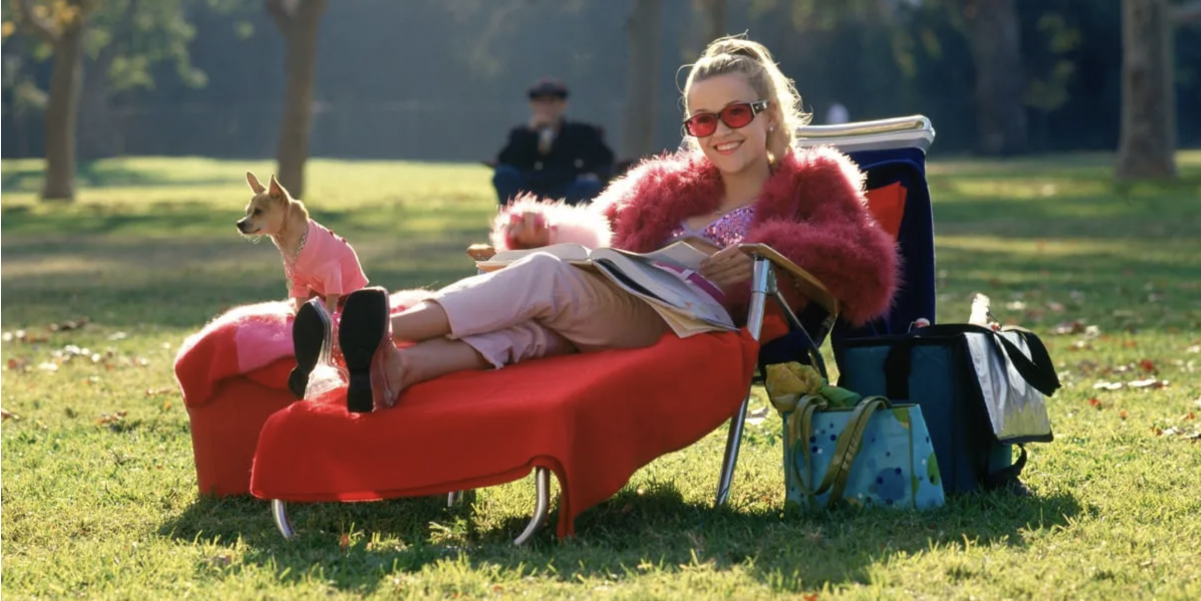 Очное или заочное обучение в вузе: какую форму обучения выбрать